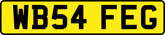 WB54FEG