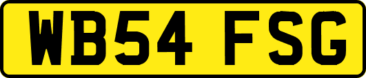 WB54FSG
