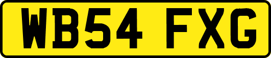 WB54FXG