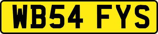 WB54FYS