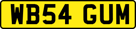 WB54GUM