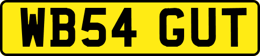WB54GUT