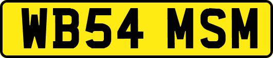 WB54MSM