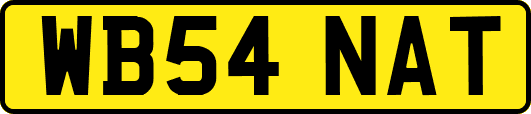 WB54NAT