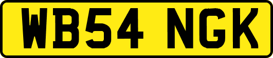 WB54NGK