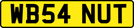 WB54NUT