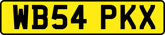 WB54PKX