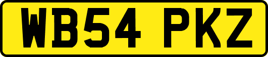WB54PKZ