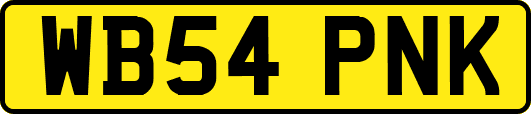 WB54PNK