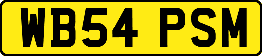 WB54PSM