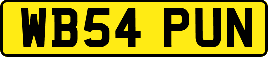 WB54PUN