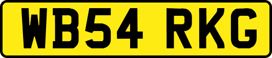 WB54RKG