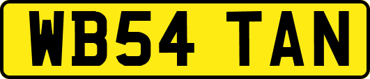 WB54TAN