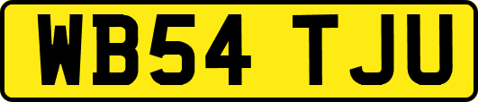 WB54TJU