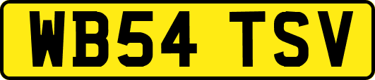WB54TSV