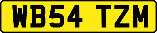 WB54TZM