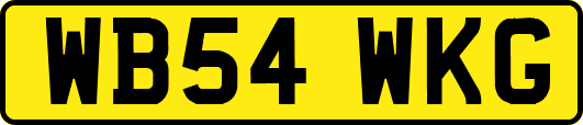 WB54WKG