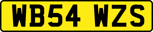 WB54WZS