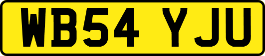 WB54YJU
