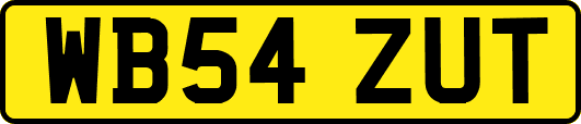 WB54ZUT