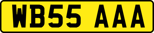 WB55AAA