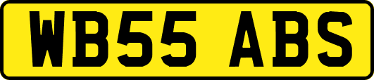 WB55ABS