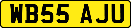 WB55AJU