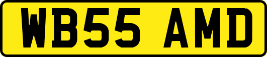 WB55AMD