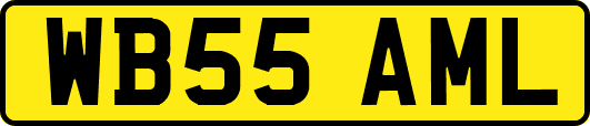WB55AML