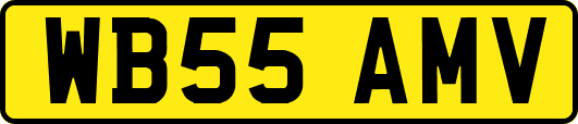 WB55AMV