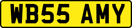 WB55AMY