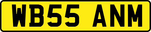 WB55ANM