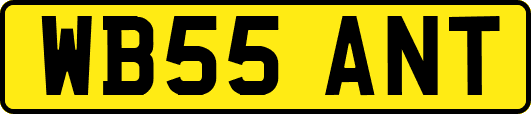 WB55ANT