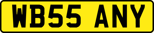 WB55ANY