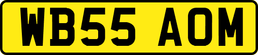 WB55AOM