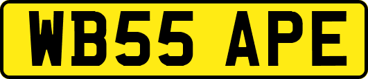 WB55APE