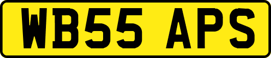 WB55APS