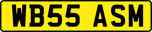 WB55ASM