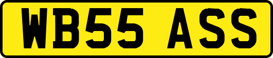 WB55ASS