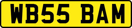 WB55BAM