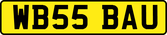 WB55BAU