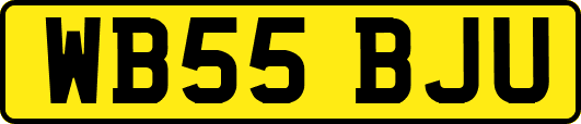 WB55BJU