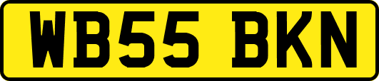 WB55BKN