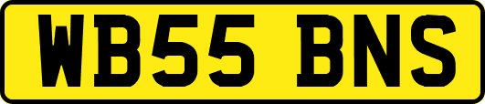 WB55BNS