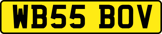 WB55BOV