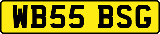 WB55BSG