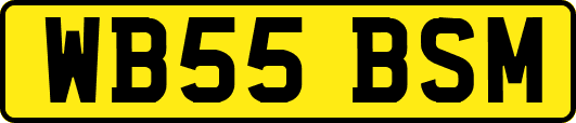 WB55BSM