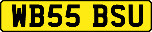 WB55BSU
