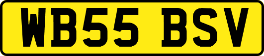 WB55BSV