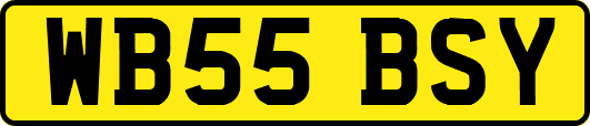 WB55BSY